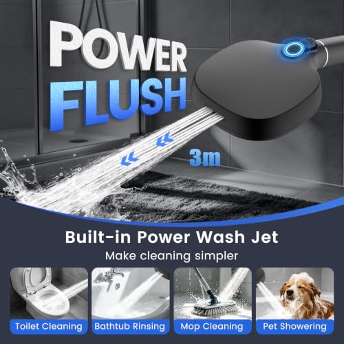 Filtered Shower Head with Handheld