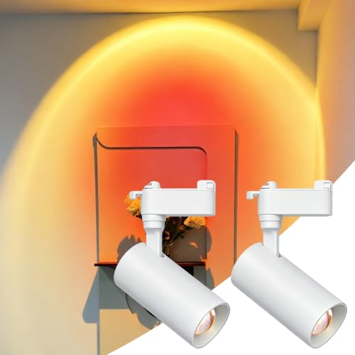 J L & H Type Sunset Filter Track Lighting Heads