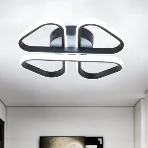 Modern LED Ceiling Light