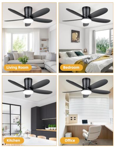 Ceiling Fans with Lights