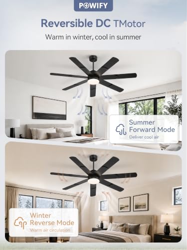 Ceiling Fans with Lights