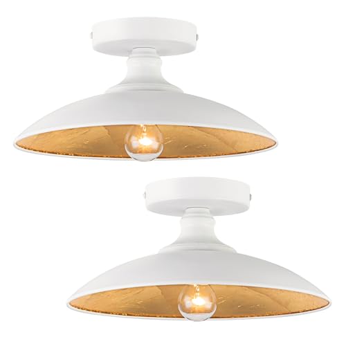 11.8In Modern Semi Flush Mount Light Fixture