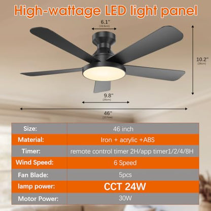 Ceiling Fans with Lights