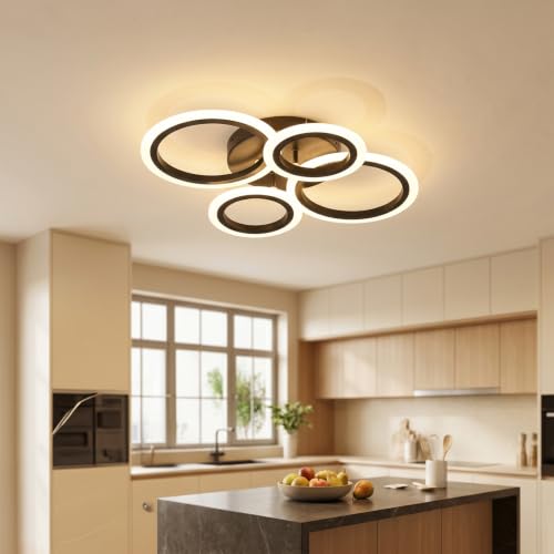 Modern LED Ceiling Light