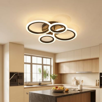 Modern LED Ceiling Light