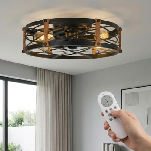 20" Black Farmhouse Caged Ceiling Fan with Light & Remote (Black)