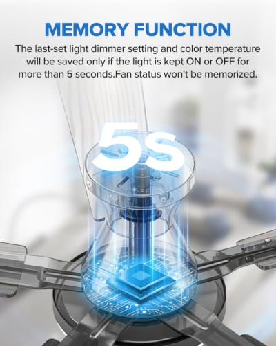Ceiling Fans with Lights
