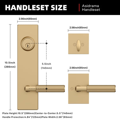 Champagne Bronze Solid Heavy (Champagne Bronze)