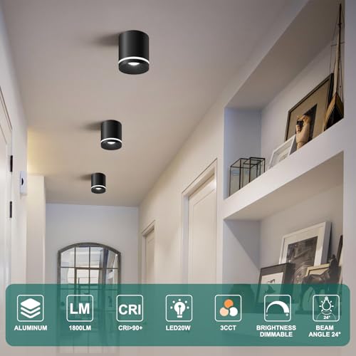 Ceiling Light Fixtures for Hallway Kitchen Entryway