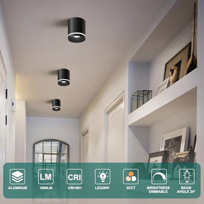 Ceiling Light Fixtures for Hallway Kitchen Entryway