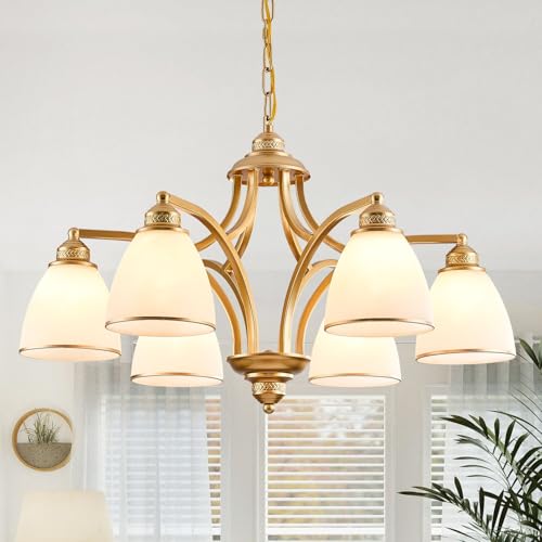 6 Light Chandelier