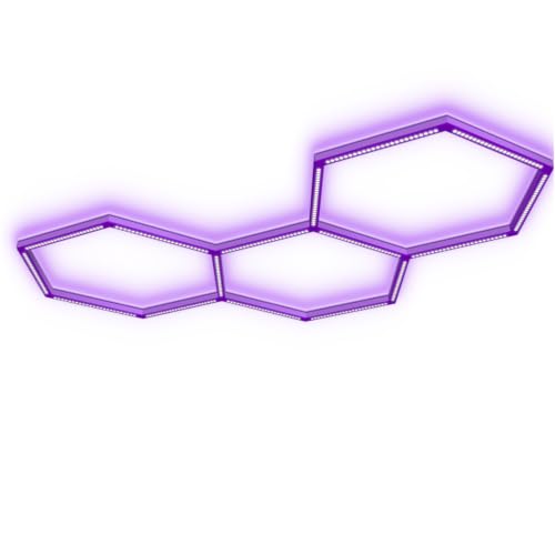 LED Hexagon Blacklights