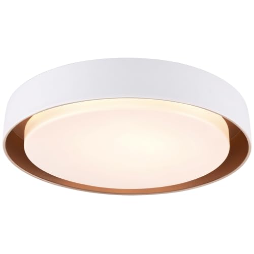 Flush Mount Ceiling Light