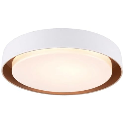 Flush Mount Ceiling Light