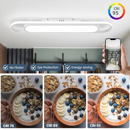Modern LED Ceiling Light