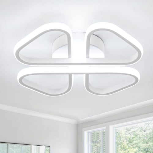 Modern LED Ceiling Light