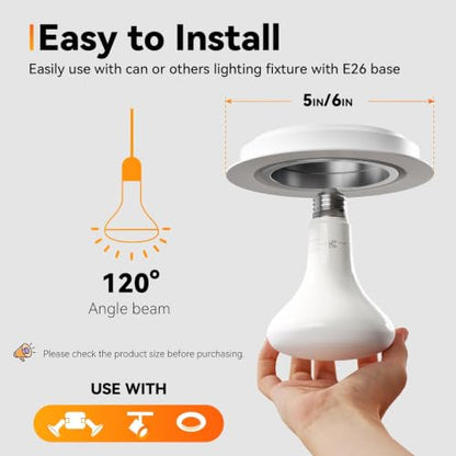 BR30 Flood Light Bulb Indoor