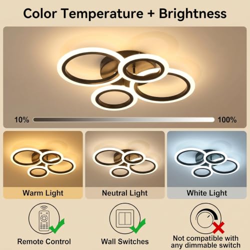 Modern LED Ceiling Light
