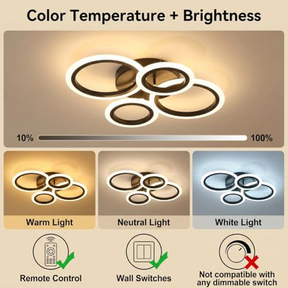 Modern LED Ceiling Light