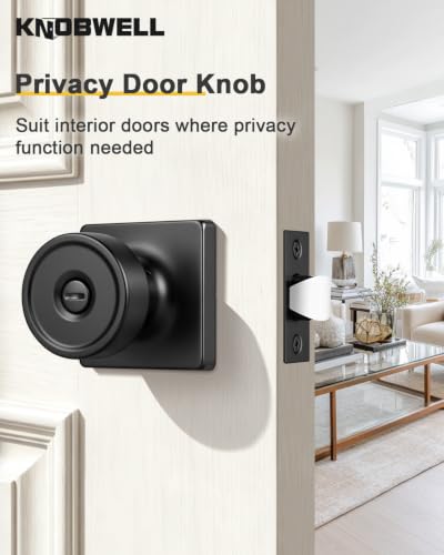 Black Interior Door Knobs