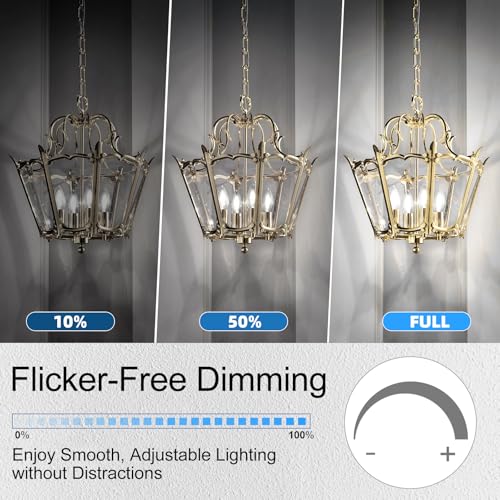 Candelabra Light Bulbs 60 watt Equivalent (24 Pack - 6w / Daylight)