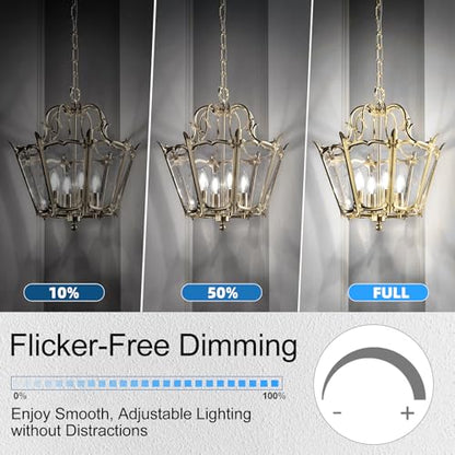 Candelabra Light Bulbs 60 watt Equivalent (24 Pack - 6w / Daylight)