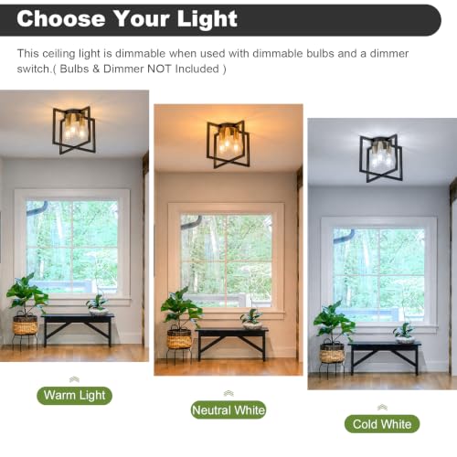 3 Light Ceiling Light