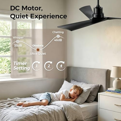 Ceiling Fan and Remote Control Outdoor Ceiling Fan