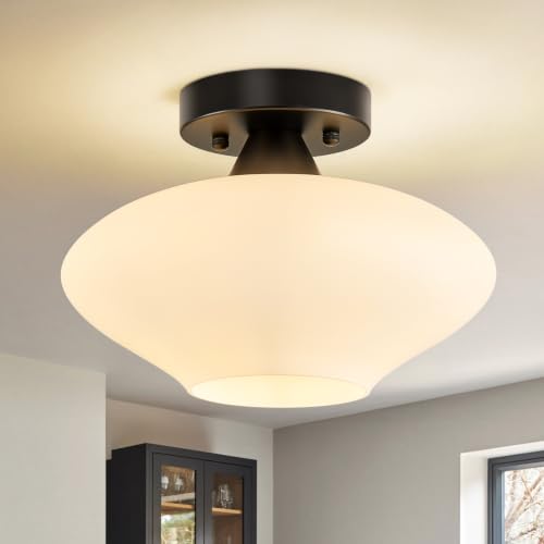 Modern Ceiling Light