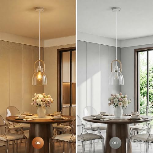 Hand Blown Glass Pendant Light