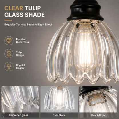 3153 5 Light Pendant Light Round Base cage
