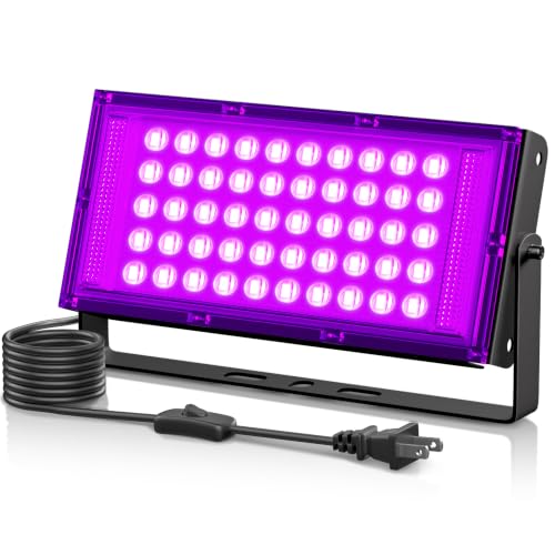 Black Light