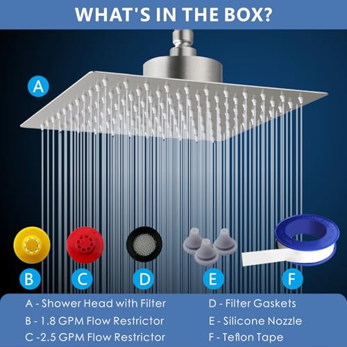 Rain Shower Head with Filtered