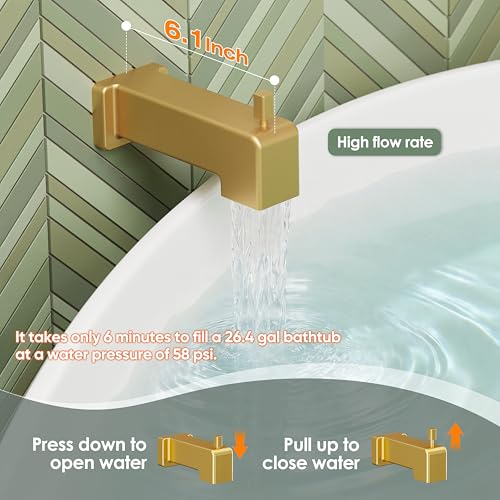 Shower Trim Kit