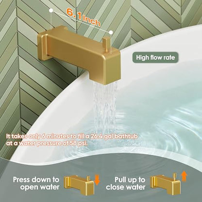 Shower Trim Kit