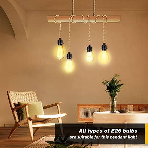 Plug in Hanging Light Kit