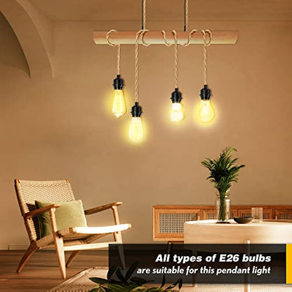 Plug in Hanging Light Kit
