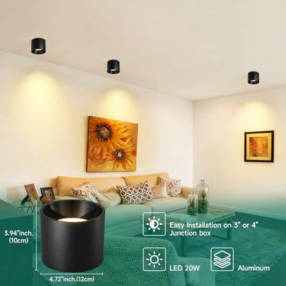 Flush Mount Ceiling Light Fixture