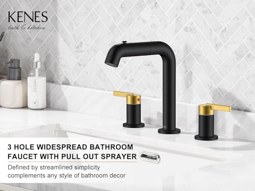 Widespread Bathroom Faucet with Sprayer
