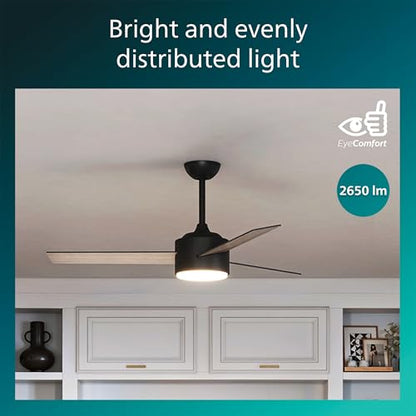 Indoor Ceiling Fan with Bright LED Light