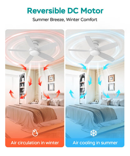 42 Inch Ceiling Fans with Lights (White / 42 Inch)