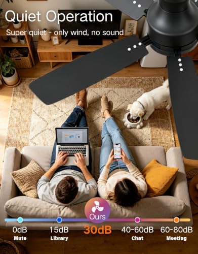 Ceiling Fans with Lights