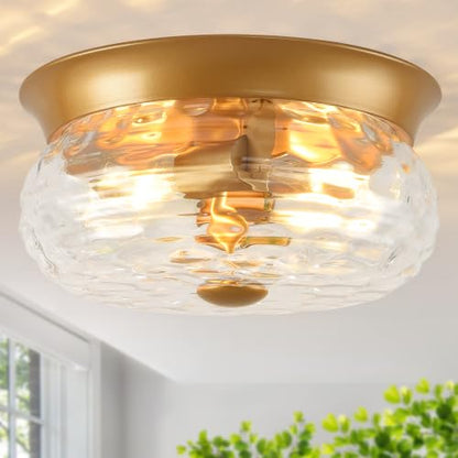 Flush Mount Ceiling Light Fixtures