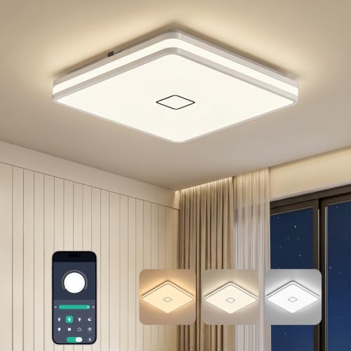LED Ceiling Light