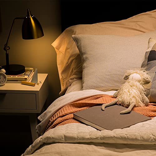 Relax LED Light Bulbs