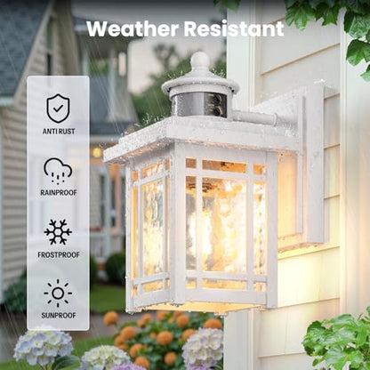 Motion Sensor Proch Light G81618P