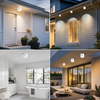 Flush Mount Dimmable Outdoor Ceiling Light Fixture