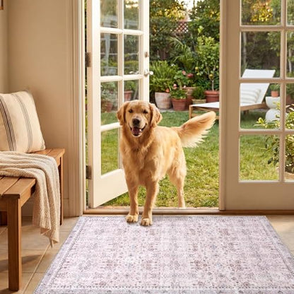 2x3 Area Rugs (Pink / 2' x 3' (Rectangular))