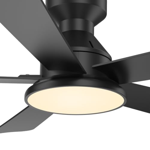 Ceiling Fans with Lights