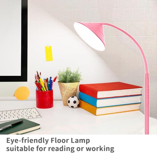 LED Floor Lamp